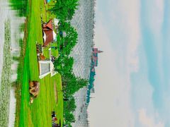 -上海辰山植物园