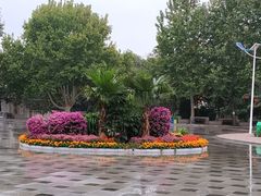 -黄村公园