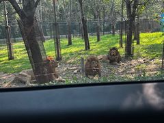 -秦皇岛野生动物园