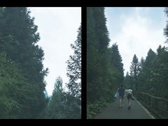 -武陵山森林公园