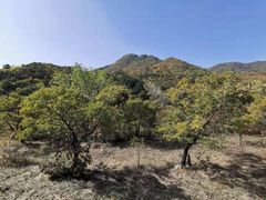 -妙峰山风景名胜区
