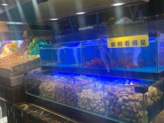 -苏格里岛自助海鲜烤肉(青秀万达店)