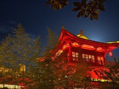 -茅山东方盐湖城景区