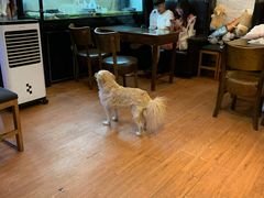 -元氏钵仔糕(北京路店)
