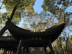 -上海佘山国家森林公园天马山园