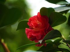 -白鹭湾湿地公园