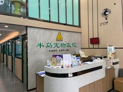 -半岛宠物医院24小时(科华中路店)