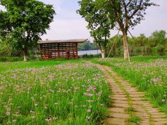 -白鹭湾湿地公园