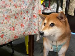 -花满楼(启秀路店)