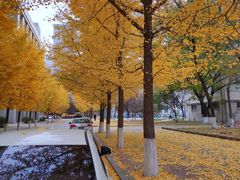 -东北大学(南湖校区)