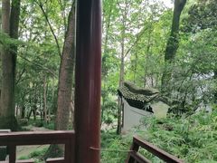-汇龙潭