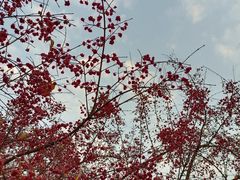 -长春公园(普阳街道)