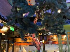 -桂满陇天书(南京德基旗舰店)