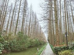 -上海怡沁园度假酒店