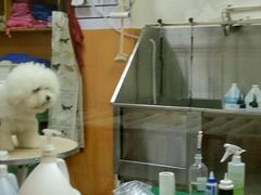 -惠康宠物医院(华能路店)