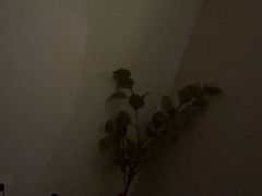 -禧瑞 ·丝浴主题·水疗·spa(中山公园店)