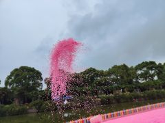 -苏州太湖西山岛开心农场