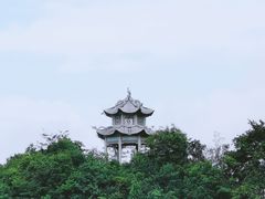 -午潮山国家森林公园