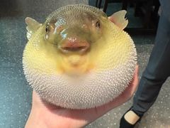 -永安鱼庄·镇江菜(东吴路店)