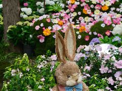 -共青国家森林公园-售票处