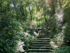 -岳麓山风景名胜区