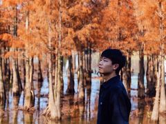 -白鹭湾湿地公园