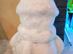 -世界之窗阿尔卑斯冰雪世界