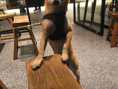 景观位-BAKER&SPICE(安福路店)