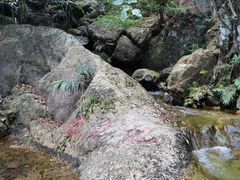 -牛鱼嘴原始生态风景区
