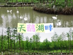 -云碧峰国家森林公园