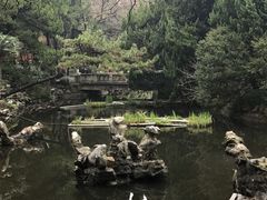 -叶家花园