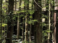 -山王坪喀斯特国家生态公园