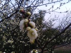 -南师大仙林校区东区食堂