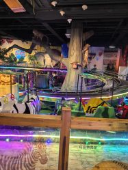 -卡通尼·Safari非洲探索乐园·生日会(金桥国际商业广场店)