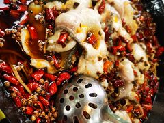 -金三可市井水煮鱼(金碧园店)