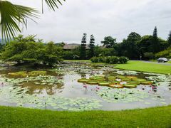-中国科学院西双版纳热带植物园