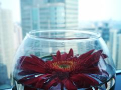 -上海龙之梦万丽酒店