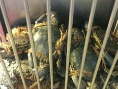 -纽顿熟食中心