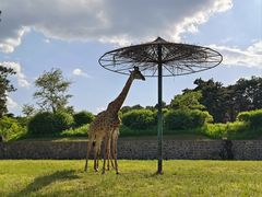 -沈阳森林动物园