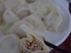 猪肉酸菜饺子-哈尔滨饺子王·东北菜(鱼鳞浃路店)