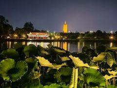 -西海子公园