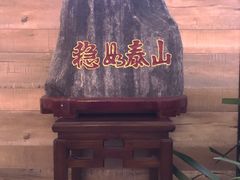 -手功王养生·足疗按摩·SPA·采耳(天府路店)