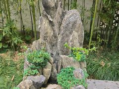 -上海醉白池公园