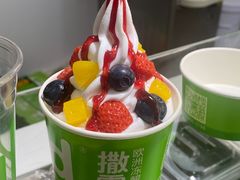 -Salud撒露欧洲冻酸奶(蓝色港湾店)