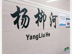 -杨柳河(地铁站)