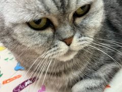 -美联众合动物医院·24h京西诊疗中心