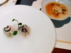 -觀芷隐轩