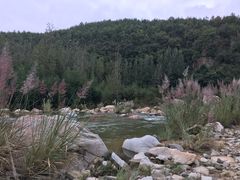 -内乡宝天曼生态旅游区