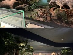 -湖南省地质博物馆