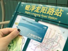 -龙阳路磁悬浮列车总站-停车场